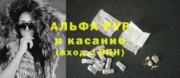 прущие крисы Кемь