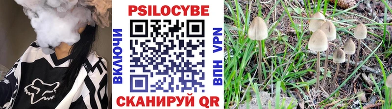Галлюциногенные грибы прущие грибы  blacksprut как войти  Макаров 